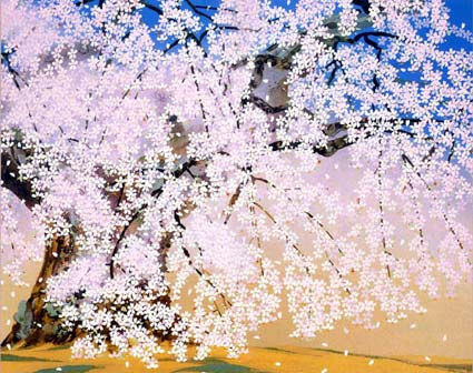 中島千波「般若院の枝垂れ桜」